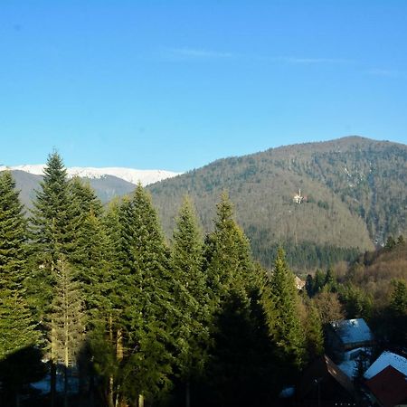 Grandpa'S Hidden Crib, 6 Bedroom, Pet Friendly Sinaia Exterior photo