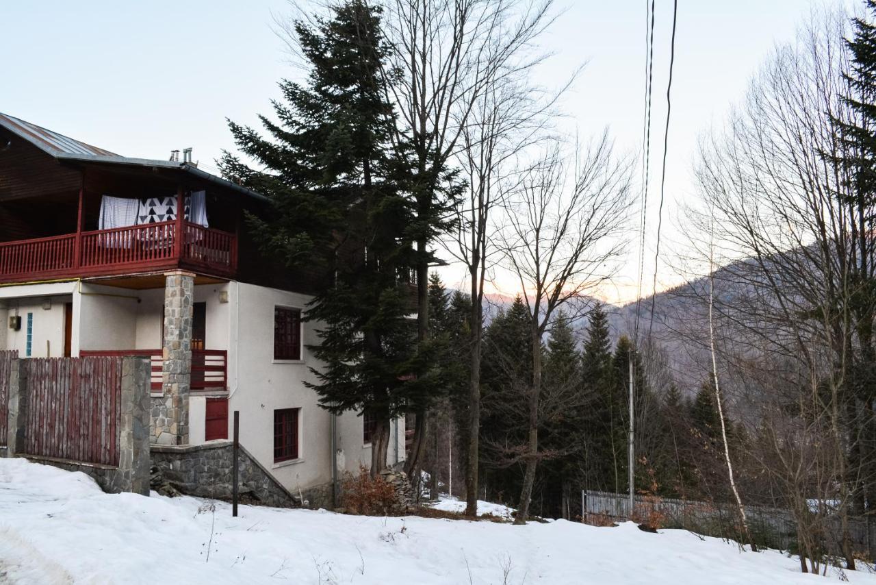 Grandpa'S Hidden Crib, 6 Bedroom, Pet Friendly Sinaia Exterior photo